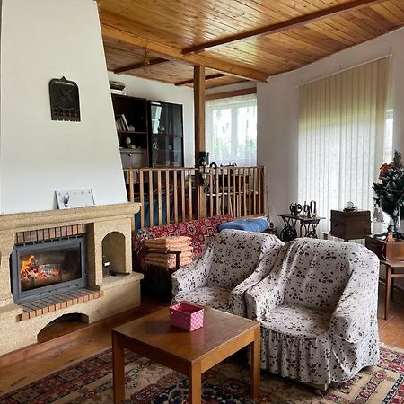 הוילה Valea Lunga-Cricov Casa Adelina מראה חיצוני תמונה