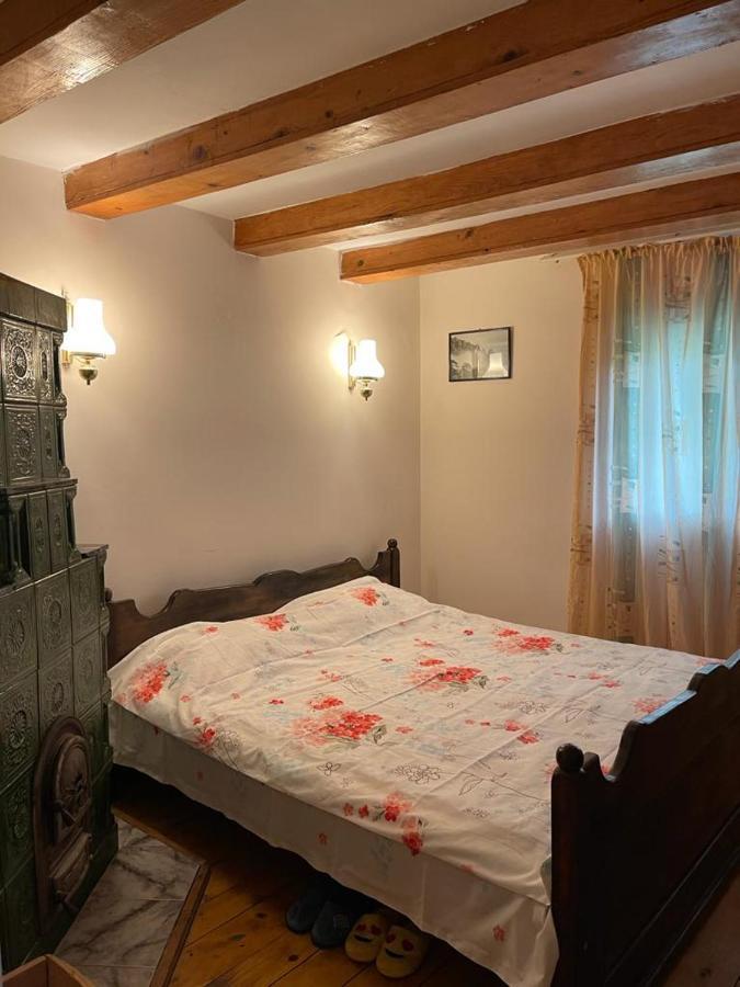 הוילה Valea Lunga-Cricov Casa Adelina מראה חיצוני תמונה