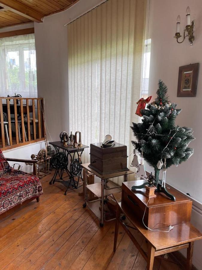 הוילה Valea Lunga-Cricov Casa Adelina מראה חיצוני תמונה