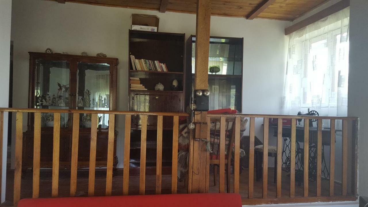 הוילה Valea Lunga-Cricov Casa Adelina מראה חיצוני תמונה