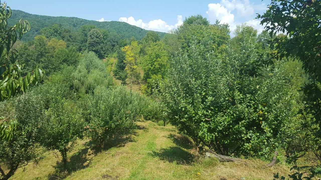 הוילה Valea Lunga-Cricov Casa Adelina מראה חיצוני תמונה